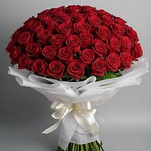 Букет 101 Красная роза Блэк Мэджик #REPLACE_PRED# Юргинское