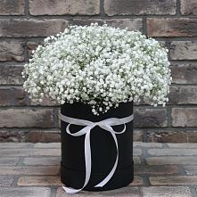 Цветочная композиция из Гипсофила в шляпной коробке в Юргинское