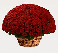 Премиум букет из: Розы в Юргинское